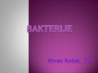 BAKTERIJE Nives Kolak, 7.b 