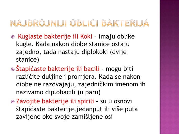 Bakterije