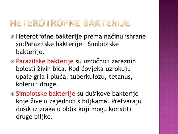 Bakterije
