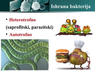 Ishrana bakterija

Heterotrofno
(saprofitski, parazitski)

Autotrofno
 