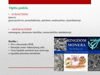 Bakterije | PPT