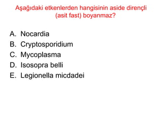 Aşağıdaki etkenlerden hangisinin aside dirençli (asit fast) boyanmaz?  Nocardia Cryptosporidium Mycoplasma Isosopra belli Legionella micdadei 