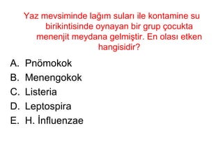 Yaz mevsiminde lağım suları ile kontamine su birikintisinde oynayan bir grup çocukta menenjit meydana gelmiştir. En olası etken hangisidir? Pnömokok Menengokok Listeria Leptospira H. İnfluenzae 