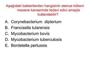 Aşağıdaki bakterilerden hangisinin atenue kökeni  mesane kanserinde tedavi edici amaçla kullanılabilir?  Corynebacterium  dipterium Francisella tularensis Mycobacterium bovis Mycobacterium tuberculosis Bordetella pertussis 
