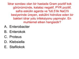 İdrar sondası olan bir hastada Gram pozitif kok görünümünde, katalaz negatif, PYR pozitif, safra eskülin agarda ve %6.5’lik NaCl’li besiyerinde üreyen, eskülini hidrolize eden bir bakteri idrar yolu infeksiyonu yapmıştır. En muhtemel etken hangisidir? Enterobacter Enterokok Proteus Klebsiella Stafilokok 