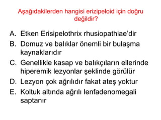 Aşağıdakilerden hangisi erizipeloid için doğru değildir? Etken Erisipelothrix rhusiopathiae’dir Domuz ve balıklar önemli bir bulaşma kaynaklarıdır Genellikle kasap ve balıkçıların ellerinde hiperemik lezyonlar şeklinde görülür Lezyon çok ağrılıdır fakat ateş yoktur Koltuk altında ağrılı lenfadenomegali saptanır 