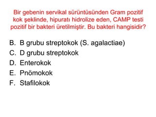 Bir gebenin servikal sürüntüsünden Gram pozitif kok şeklinde, hipuratı hidrolize eden, CAMP testi pozitif bir bakteri üretilmiştir. Bu bakteri hangisidir? B grubu streptokok (S. agalactiae) D grubu streptokok Enterokok Pnömokok Stafilokok 