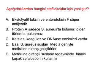 Aşağıdakilerden hangisi stafilokoklar için yanlıştır? Eksfolyatif toksin ve enterotoksin F süper antijendir Protein A sadece S. aureus’ta bulunur, diğer türlerde  bulunmaz Katalaz, koagülaz ve DNAase enzimleri vardır Bazı S. aureus suşları  Mec a geniyle metisiline direnç geliştirirler Metisiline dirençli suşların tedavisinde  birinci kuşak sefalosporin kullanılır 
