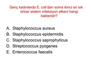 Genç kadınlarda E. coli’den sonra ikinci en sık üriner sistem infeksiyon etkeni hangi bakteridir? Staphylococcus aureus Staphylococcus epidermidis Staphylococcus saprophyticus Streptococcus pyogenes Enterococcus faecalis 