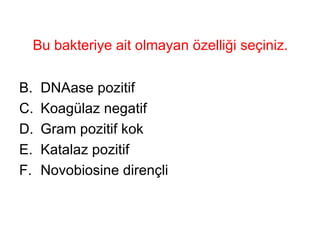 Bu bakteriye ait olmayan özelliği seçiniz. DNAase pozitif Koagülaz negatif Gram pozitif kok Katalaz pozitif Novobiosine dirençli 
