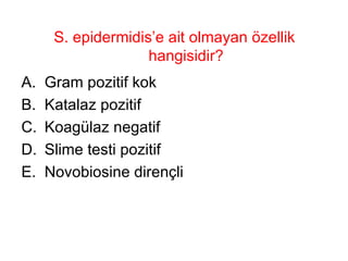 S. epidermidis’e ait olmayan özellik hangisidir? Gram pozitif kok Katalaz pozitif Koagülaz negatif Slime testi pozitif Novobiosine dirençli 