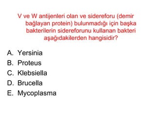 V ve W antijenleri olan ve sidereforu (demir bağlayan protein) bulunmadığı için başka bakterilerin sidereforunu kullanan bakteri aşağıdakilerden hangisidir? Yersinia Proteus Klebsiella Brucella Mycoplasma 
