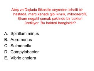 Ateş ve Dışkıda lökositle seyreden İshalli bir hastada, martı kanadı gibi kıvrık, mikroaerofil, Gram negatif çomak şeklinde bir bakteri üretiliyor. Bu bakteri hangisidir? Spirillum minus Aeromonas Salmonella Campylobacter Vibrio cholera 
