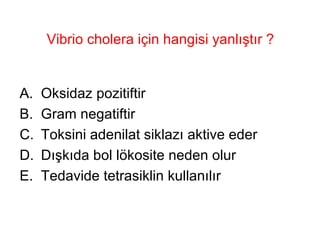 Vibrio cholera için hangisi yanlıştır ? Oksidaz pozitiftir Gram negatiftir Toksini adenilat siklazı aktive eder Dışkıda bol lökosite neden olur Tedavide tetrasiklin kullanılır 