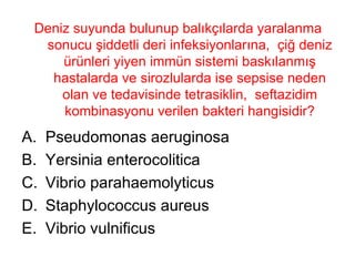 Deniz suyunda bulunup balıkçılarda yaralanma sonucu şiddetli deri infeksiyonlarına,  çiğ deniz ürünleri yiyen immün sistemi baskılanmış hastalarda ve sirozlularda ise sepsise neden olan ve tedavisinde tetrasiklin,  seftazidim kombinasyonu verilen bakteri hangisidir? Pseudomonas aeruginosa Yersinia enterocolitica Vibrio parahaemolyticus Staphylococcus aureus Vibrio vulnificus 