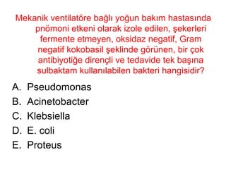 Mekanik ventilatöre bağlı yoğun bakım hastasında pnömoni etkeni olarak izole edilen, şekerleri fermente etmeyen, oksidaz negatif, Gram negatif kokobasil şeklinde görünen, bir çok antibiyotiğe dirençli ve tedavide tek başına sulbaktam kullanılabilen bakteri hangisidir? Pseudomonas Acinetobacter Klebsiella E. coli Proteus 
