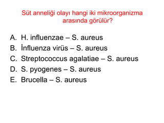 Süt anneliği olayı hangi iki mikroorganizma arasında görülür? H. influenzae – S. aureus İnfluenza virüs – S. aureus Streptococcus agalatiae – S. aureus S. pyogenes – S. aureus Brucella – S. aureus 