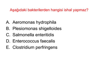 Aşağıdaki bakterilerden hangisi ishal yapmaz? Aeromonas hydrophila Plesiomonas shigelloides Salmonella enteritidis Enterococcus faecalis Clostridium perfringens 