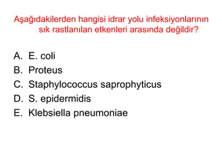 Aşağıdakilerden hangisi idrar yolu infeksiyonlarının sık rastlanılan etkenleri arasında değildir? E. coli Proteus Staphylococcus saprophyticus S. epidermidis Klebsiella pneumoniae 