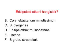Erizipeloid etkeni hangisidir? Corynebacterium minutissimum S. pyogenes Erisipelothrix rhusiopathiae Listeria B grubu streptokok 