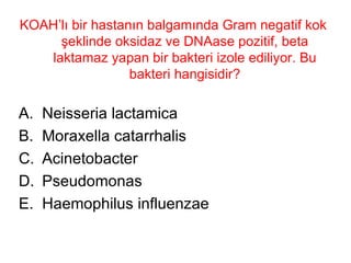 KOAH’lı bir hastanın balgamında Gram negatif kok şeklinde oksidaz ve DNAase pozitif, beta laktamaz yapan bir bakteri izole ediliyor. Bu bakteri hangisidir? Neisseria lactamica Moraxella catarrhalis Acinetobacter Pseudomonas Haemophilus influenzae 
