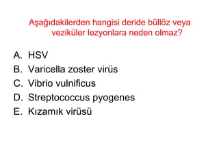 Aşağıdakilerden hangisi deride büllöz veya veziküler lezyonlara neden olmaz? HSV Varicella zoster virüs Vibrio vulnificus Streptococcus pyogenes Kızamık virüsü 