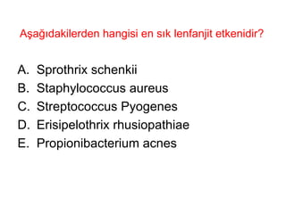 Aşağıdakilerden hangisi en sık lenfanjit etkenidir?  Sprothrix schenkii Staphylococcus aureus Streptococcus Pyogenes Erisipelothrix rhusiopathiae Propionibacterium acnes 