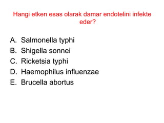 Hangi etken esas olarak damar endotelini infekte eder? Salmonella typhi Shigella sonnei Ricketsia typhi Haemophilus influenzae Brucella abortus 