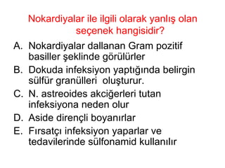 Nokardiyalar ile ilgili olarak yanlış olan seçenek hangisidir? Nokardiyalar dallanan Gram pozitif basiller şeklinde görülürler Dokuda infeksiyon yaptığında belirgin sülfür granülleri  oluşturur. N. astreoides akciğerleri tutan infeksiyona neden olur Aside dirençli boyanırlar Fırsatçı infeksiyon yaparlar ve tedavilerinde sülfonamid kullanılır 