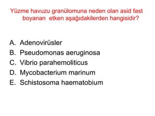Yüzme havuzu granülomuna neden olan asid fast boyanan  etken aşağıdakilerden hangisidir?  Adenovirüsler Pseudomonas aeruginosa Vibrio parahemoliticus Mycobacterium marinum Schistosoma haematobium 