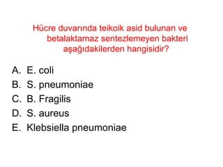 Hücre duvarında teikoik asid bulunan ve betalaktamaz sentezlemeyen bakteri aşağıdakilerden hangisidir?  E. coli S. pneumoniae B. Fragilis S. aureus Klebsiella pneumoniae 