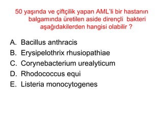 50 yaşında ve çiftçilik yapan AML’li bir hastanın balgamında üretilen aside dirençli  bakteri aşağıdakilerden hangisi olabilir ?  Bacillus anthracis  Erysipelothrix rhusiopathiae Corynebacterium urealyticum Rhodococcus equi Listeria monocytogenes 