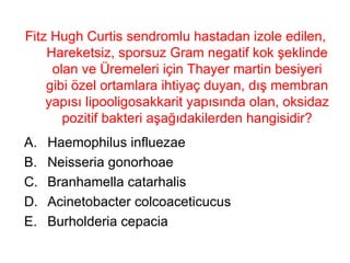 Fitz Hugh Curtis sendromlu hastadan izole edilen, Hareketsiz, sporsuz Gram negatif kok şeklinde olan ve Üremeleri için Thayer martin besiyeri gibi özel ortamlara ihtiyaç duyan, dış membran yapısı lipooligosakkarit yapısında olan, oksidaz pozitif bakteri aşağıdakilerden hangisidir? Haemophilus influezae Neisseria gonorhoae Branhamella catarhalis Acinetobacter colcoaceticucus Burholderia cepacia 