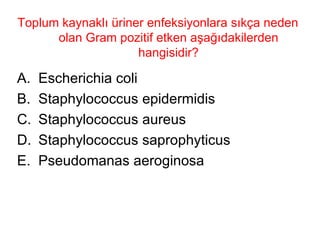 Toplum kaynaklı üriner enfeksiyonlara sıkça neden olan Gram pozitif etken aşağıdakilerden hangisidir? Escherichia coli Staphylococcus epidermidis Staphylococcus aureus Staphylococcus saprophyticus Pseudomanas aeroginosa 