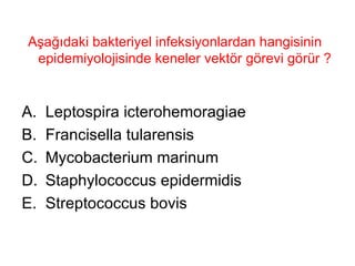 Aşağıdaki bakteriyel infeksiyonlardan hangisinin epidemiyolojisinde keneler vektör görevi görür ?  Leptospira icterohemoragiae Francisella tularensis Mycobacterium marinum Staphylococcus epidermidis Streptococcus bovis 