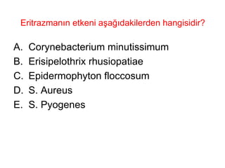 Eritrazmanın etkeni aşağıdakilerden hangisidir? Corynebacterium minutissimum Erisipelothrix rhusiopatiae Epidermophyton floccosum S. Aureus S. Pyogenes  