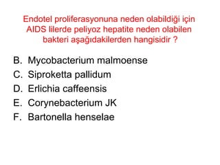 Endotel proliferasyonuna neden olabildiği için  AIDS lilerde peliyoz hepatite neden olabilen  bakteri aşağıdakilerden hangisidir ? Mycobacterium malmoense Siproketta pallidum Erlichia caffeensis Corynebacterium JK Bartonella henselae 