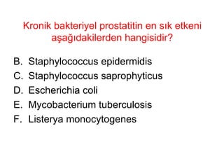 Kronik bakteriyel prostatitin en sık etkeni aşağıdakilerden hangisidir? Staphylococcus epidermidis Staphylococcus saprophyticus Escherichia coli Mycobacterium tuberculosis Listerya monocytogenes 