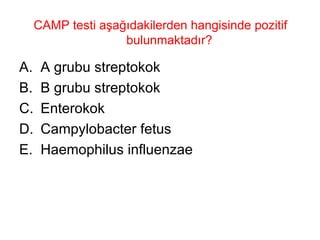 CAMP testi aşağıdakilerden hangisinde pozitif bulunmaktadır?  A grubu streptokok B grubu streptokok Enterokok Campylobacter fetus Haemophilus influenzae 