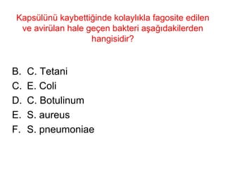 Kapsülünü kaybettiğinde kolaylıkla fagosite edilen ve avirülan hale geçen bakteri aşağıdakilerden hangisidir? C. Tetani E. Coli C. Botulinum S. aureus S. pneumoniae 