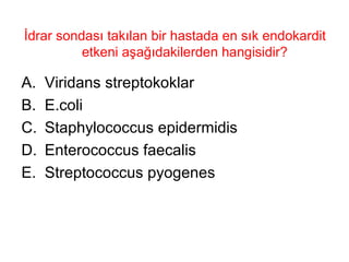 İdrar sondası takılan bir hastada en sık endokardit etkeni aşağıdakilerden hangisidir?  Viridans streptokoklar E.coli Staphylococcus epidermidis Enterococcus faecalis Streptococcus pyogenes 