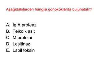 Aşağıdakilerden hangisi gonokoklarda bulunabilir?  Ig A proteaz Teikoik asit M proteini Lesitinaz Labil toksin  