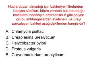 Hücre duvarı olmadığı için bakteriyel filtrelerden kolayca süzülen, hücre zarında bulundurduğu kolesterol nedeniyle amfoterisin B gibi polyen grubu antifungallerden etkilenen  ve üreyi parçalayan bakteri aşağıdakilerden hangisidir?  Chlamydia psittaci Ureaplasma urealyticum Helycobacter pylori Proteus vulgaris Corynebacterium urealyticum 