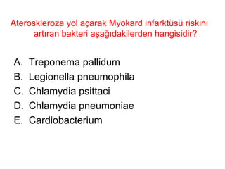 Ateroskleroza yol açarak Myokard infarktüsü riskini artıran bakteri aşağıdakilerden hangisidir?  Treponema pallidum Legionella pneumophila Chlamydia psittaci Chlamydia pneumoniae Cardiobacterium 