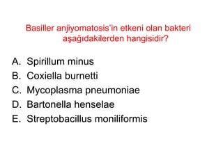 Basiller anjiyomatosis’in etkeni olan bakteri aşağıdakilerden hangisidir? Spirillum minus Coxiella burnetti Mycoplasma pneumoniae Bartonella henselae Streptobacillus moniliformis 