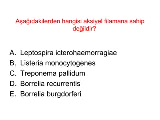 Aşağıdakilerden hangisi aksiyel filamana sahip değildir?  Leptospira icterohaemorragiae Listeria monocytogenes Treponema pallidum Borrelia recurrentis Borrelia burgdorferi 