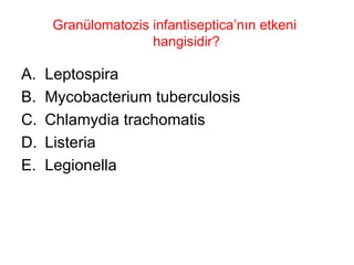 Granülomatozis infantiseptica’nın etkeni hangisidir? Leptospira Mycobacterium tuberculosis Chlamydia trachomatis Listeria Legionella 