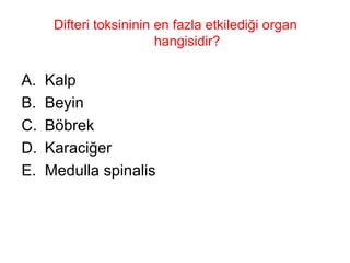 Difteri toksininin en fazla etkilediği organ hangisidir? Kalp Beyin Böbrek Karaciğer Medulla spinalis 