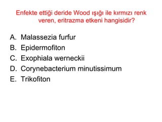 Enfekte ettiği deride Wood ışığı ile kırmızı renk veren, eritrazma etkeni hangisidir? Malassezia furfur Epidermofiton Exophiala werneckii Corynebacterium minutissimum Trikofiton 