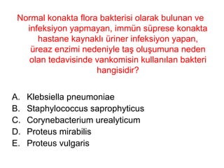 Normal konakta flora bakterisi olarak bulunan ve infeksiyon yapmayan, immün süprese konakta hastane kaynaklı üriner infeksiyon yapan, üreaz enzimi nedeniyle taş oluşumuna neden olan tedavisinde vankomisin kullanılan bakteri hangisidir? Klebsiella pneumoniae Staphylococcus saprophyticus Corynebacterium urealyticum Proteus mirabilis Proteus vulgaris 